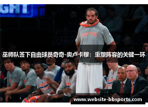 巫师队签下自由球员奇奇-奥卢卡穆：重塑阵容的关键一环